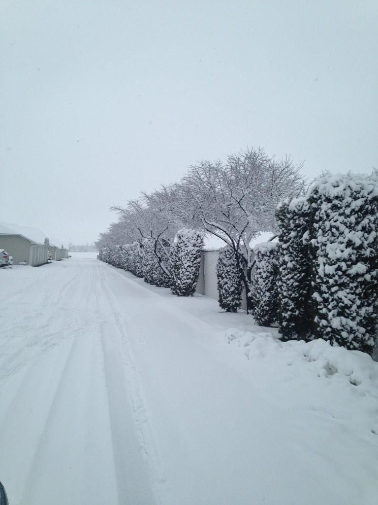 Snow